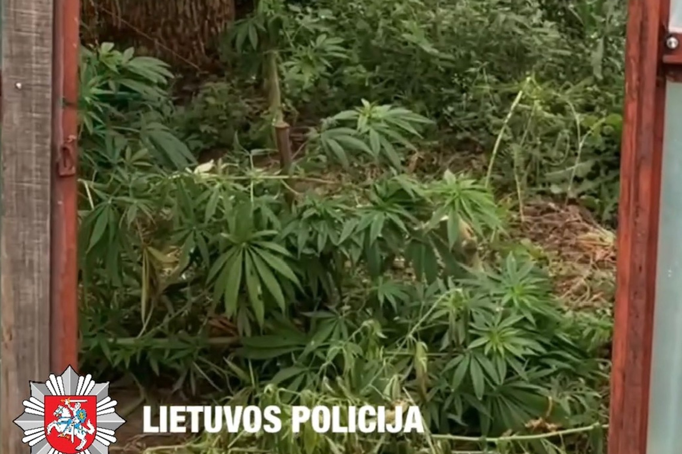 Iliustracija