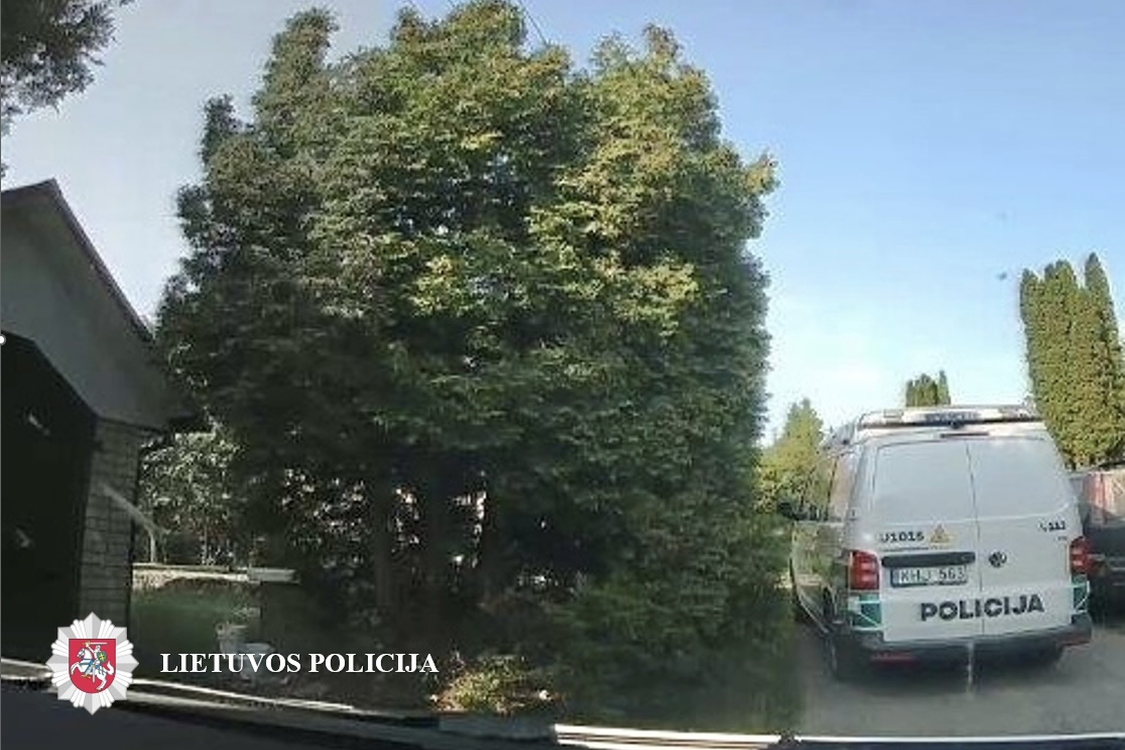 Iliustracija