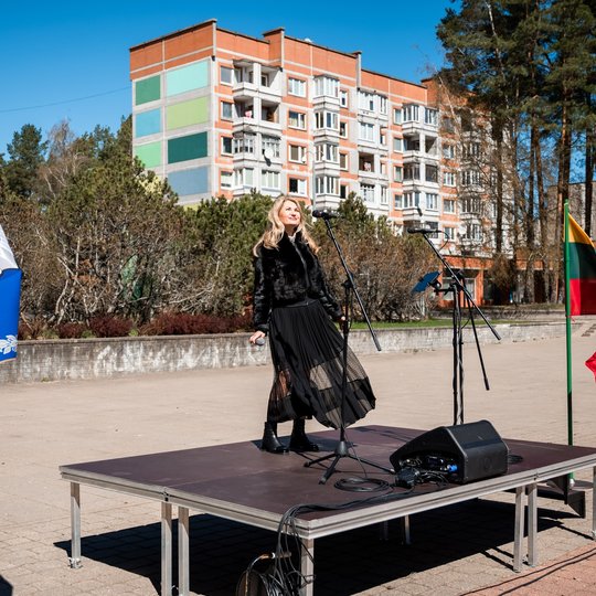 Iliustracija